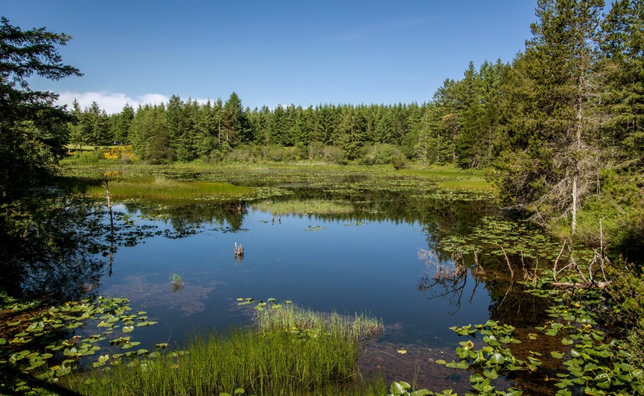 Casting Trophy Lake Golf & Casting