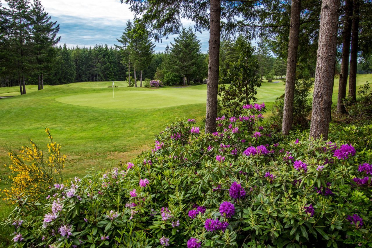Trophy Lake Golf & Casting Seattle Golf Courses